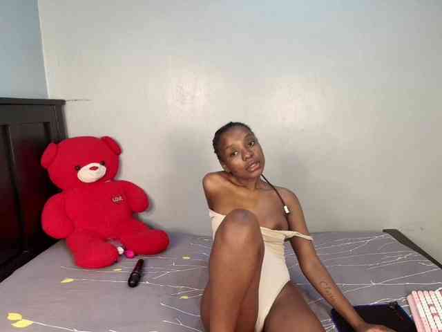Veecatch webcam