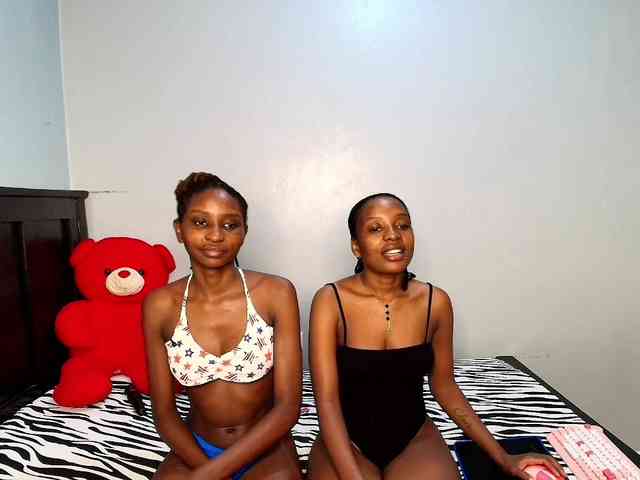 Veecatch webcam