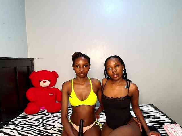 Veecatch webcam