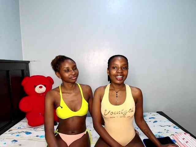 Veecatch webcam