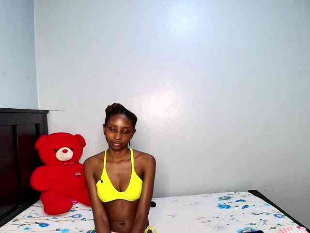 Veecatch webcam