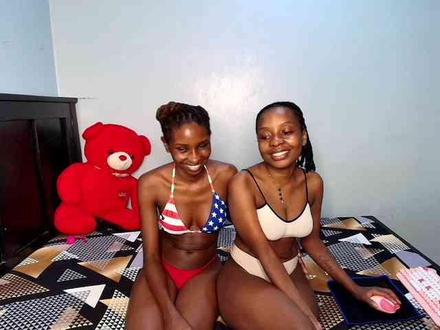 Veecatch webcam