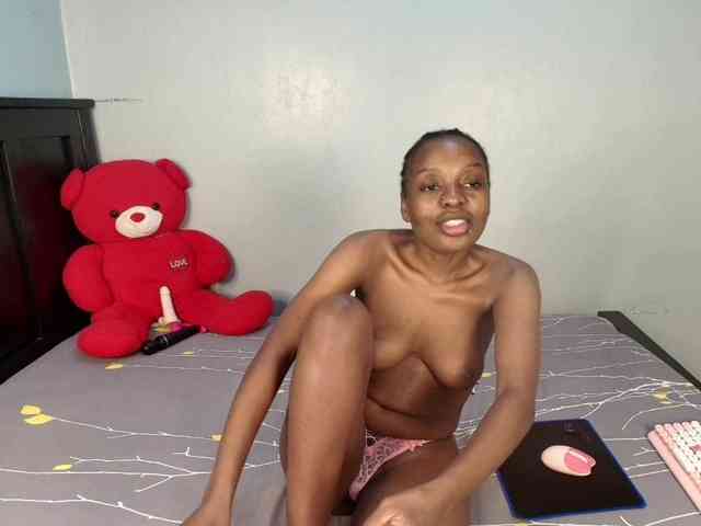 Veecatch webcam