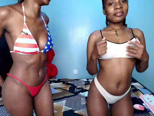 Veecatch webcam