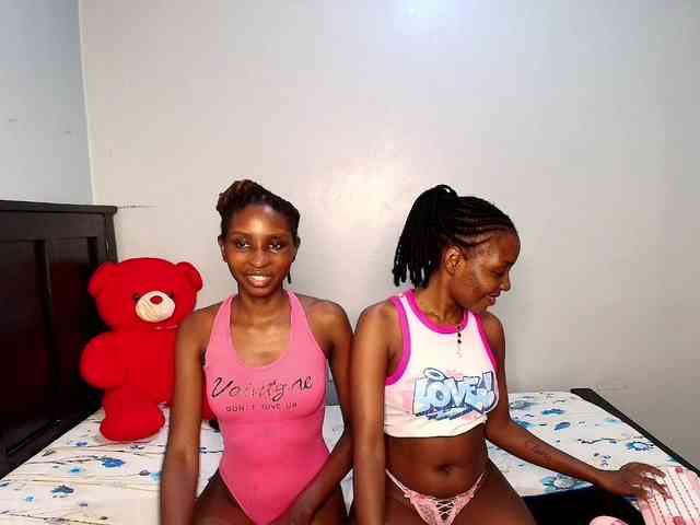 Veecatch webcam