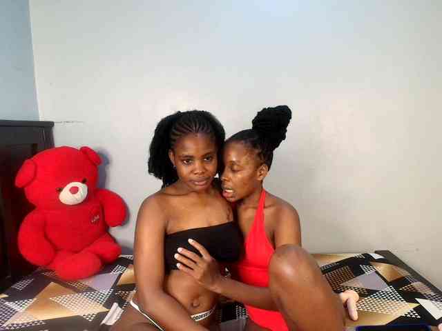 Veecatch webcam