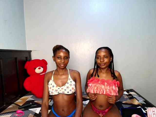 Veecatch webcam