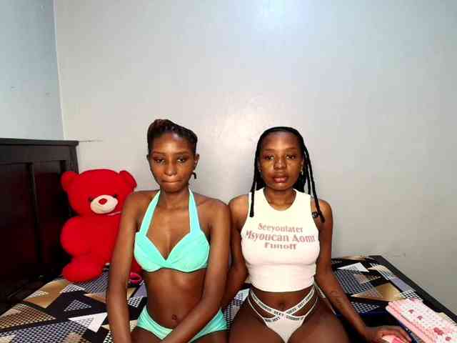 Veecatch webcam
