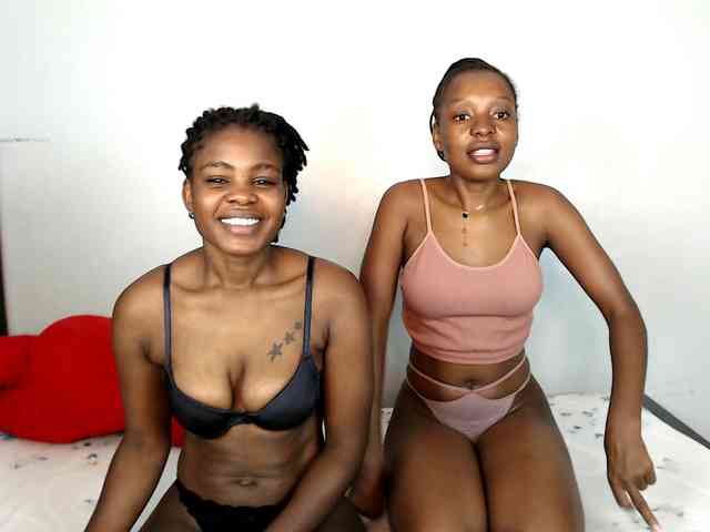 Veecatch webcam