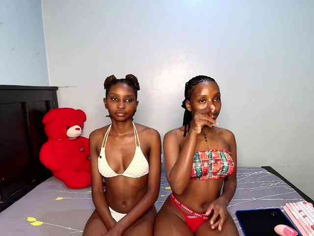 Veecatch webcam