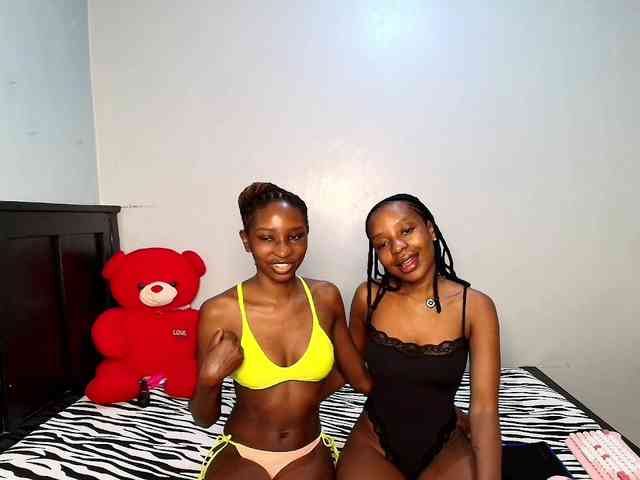 Veecatch webcam