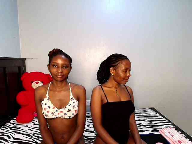 Veecatch webcam