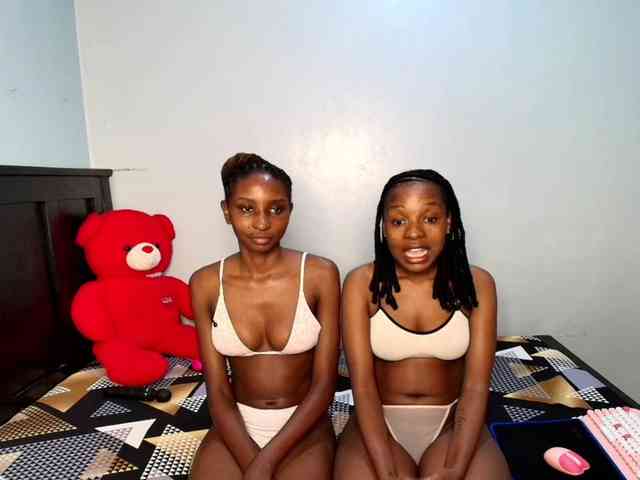 Veecatch webcam