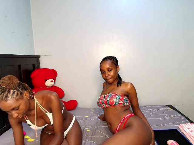 Veecatch webcam