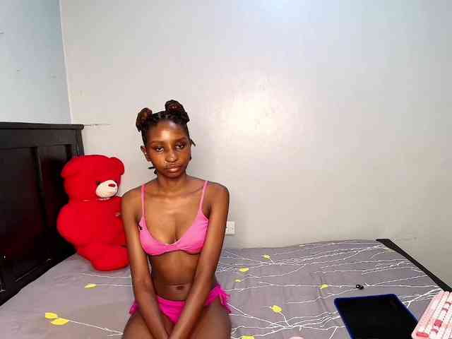 Veecatch webcam