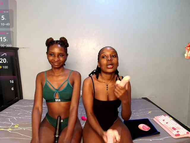 Veecatch webcam