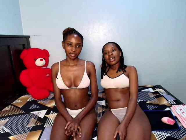 Veecatch webcam