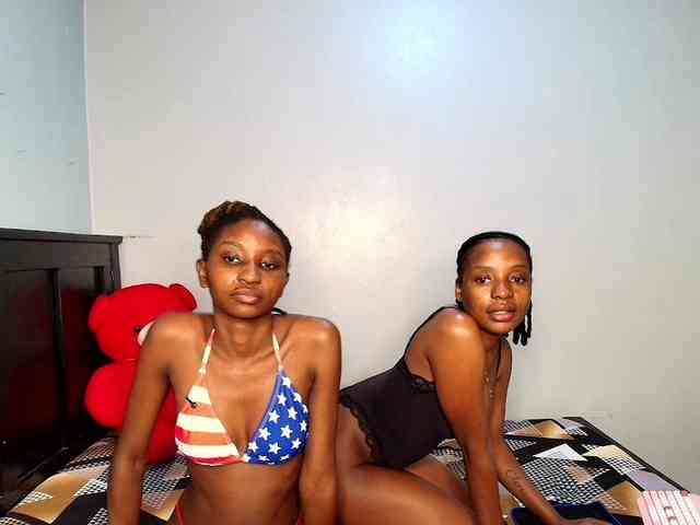 Veecatch webcam