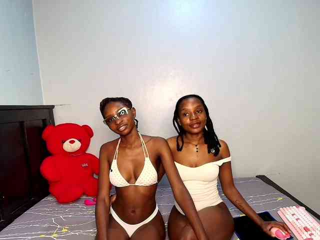 Veecatch webcam