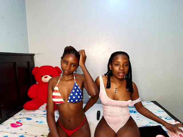 Veecatch webcam