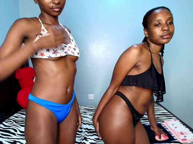 Veecatch webcam