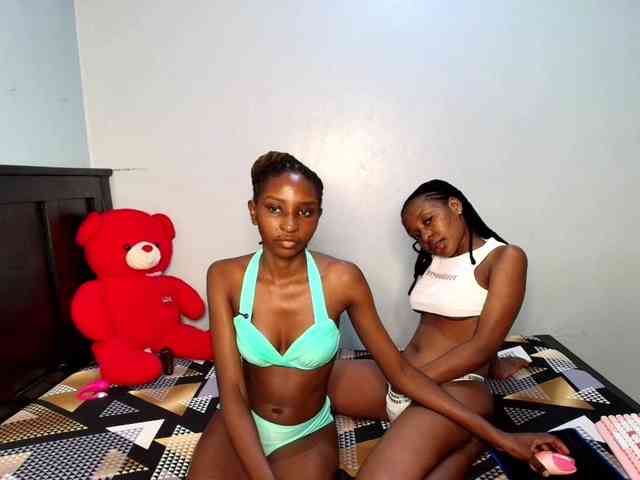 Veecatch webcam