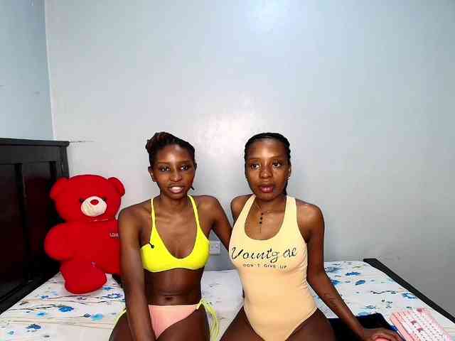 Veecatch webcam