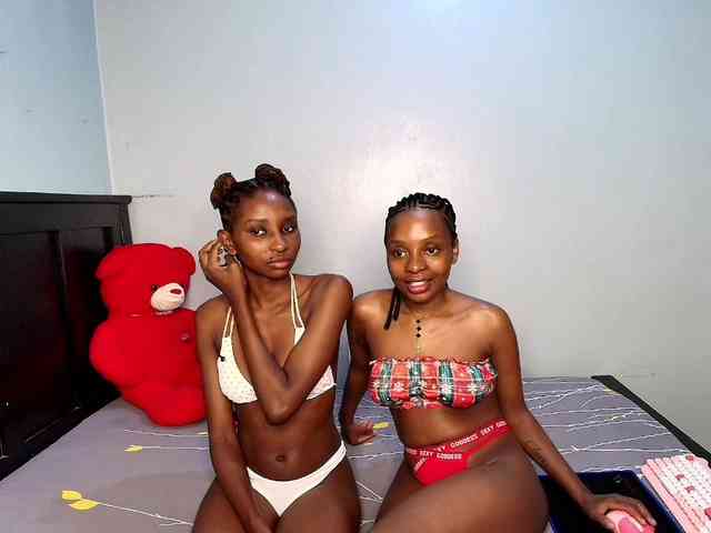 Veecatch webcam