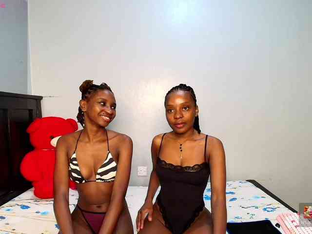 Veecatch webcam