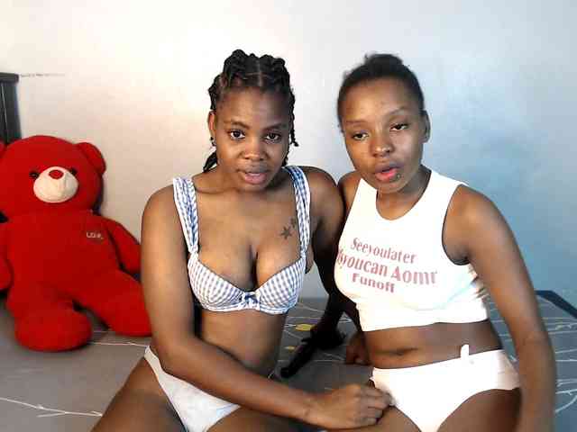 Veecatch webcam