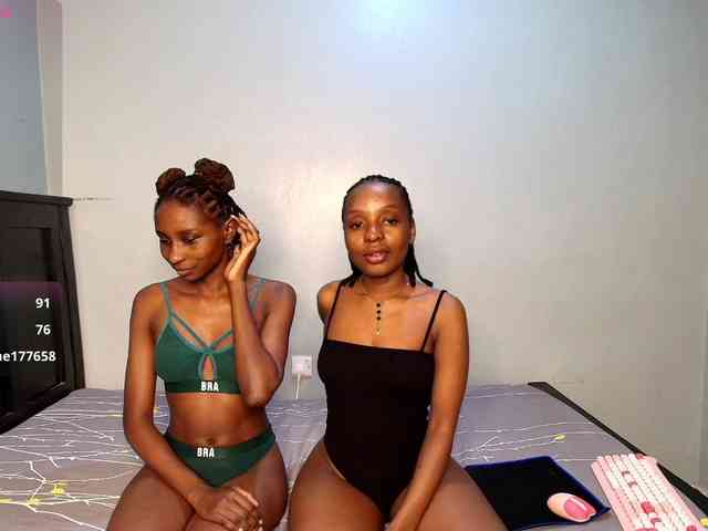 Veecatch webcam