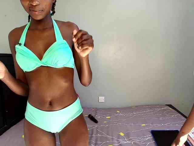 Veecatch webcam
