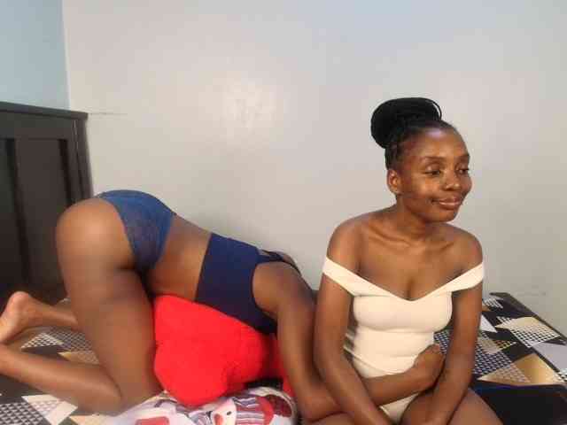 Veecatch webcam