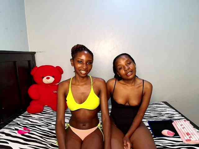 Veecatch webcam