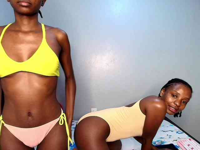 Veecatch webcam
