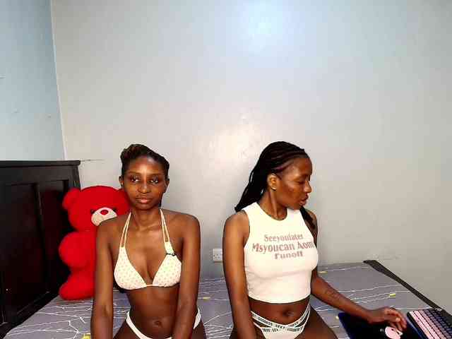Veecatch webcam