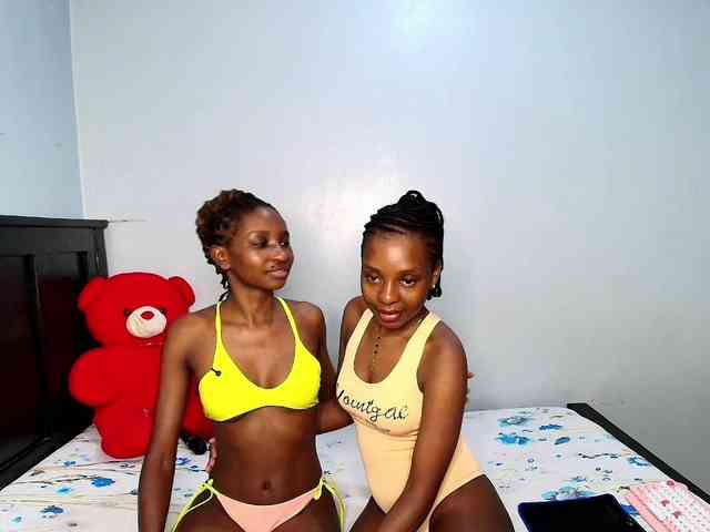 Veecatch webcam