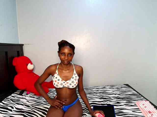 Model: Veecatch