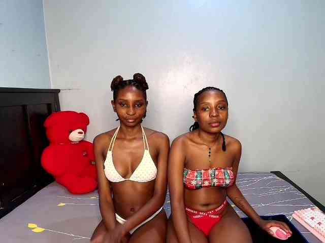Veecatch webcam