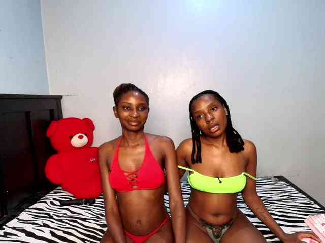 Veecatch webcam