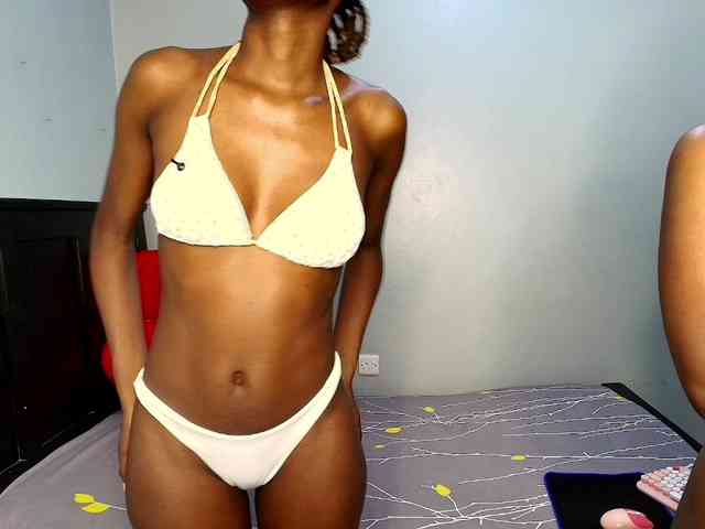 Veecatch webcam