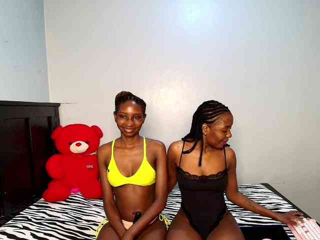Veecatch webcam