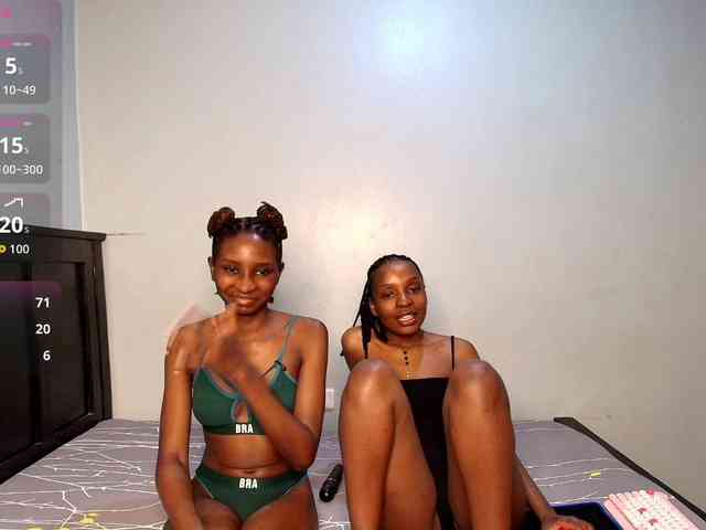 Veecatch webcam