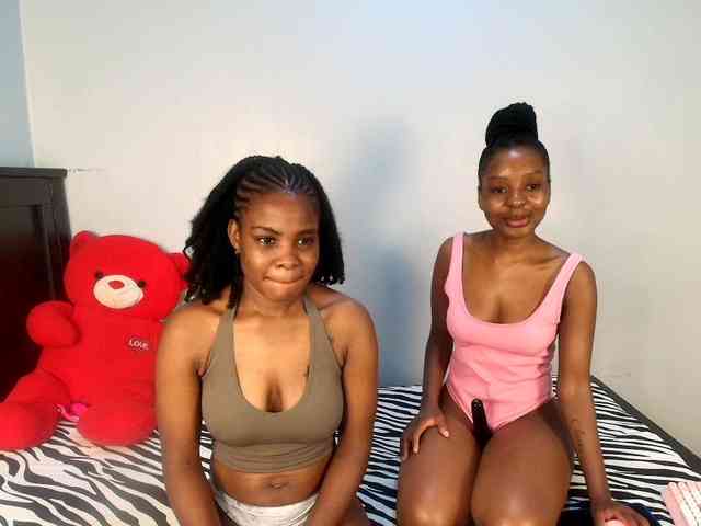 Veecatch webcam