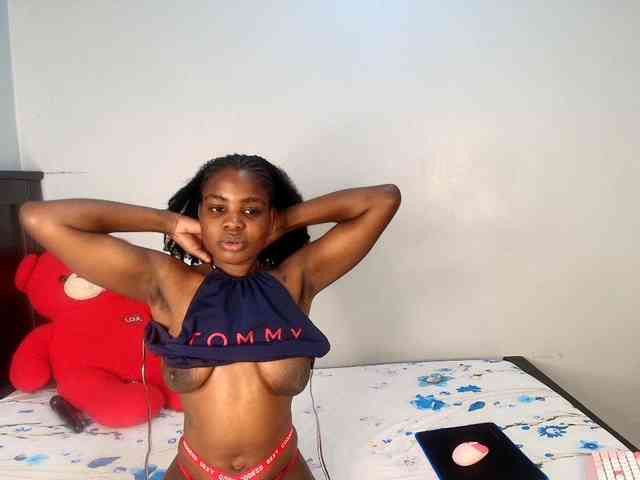 Veecatch webcam