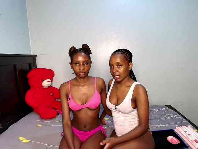 Veecatch webcam