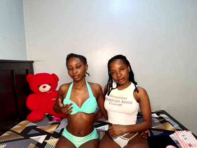 Veecatch webcam
