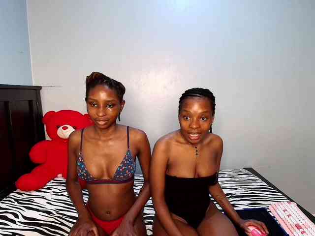 Veecatch webcam