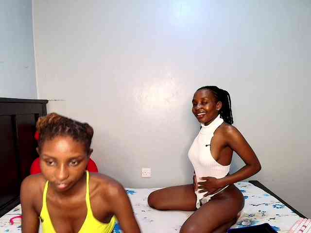 Veecatch webcam