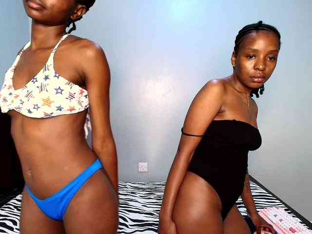 Veecatch webcam